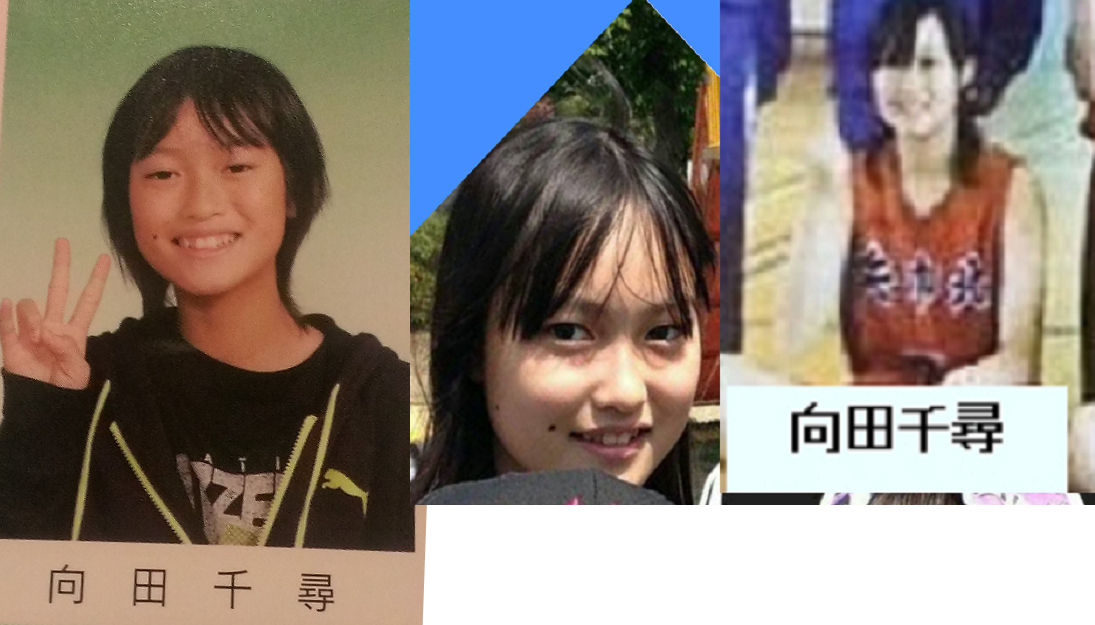 人気ダウンロード 向田千尋 現在 向田千尋 現在