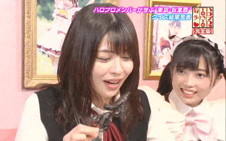 レス12番の画像サムネイル