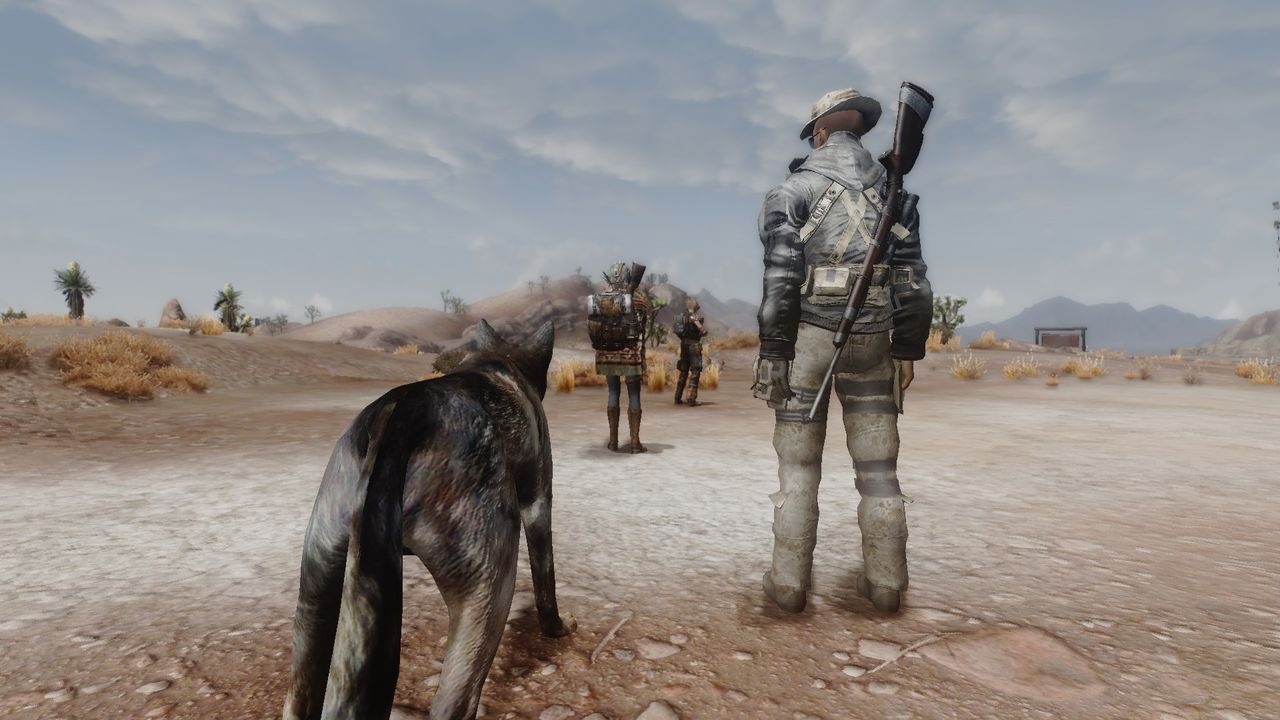 new vegas jip companion