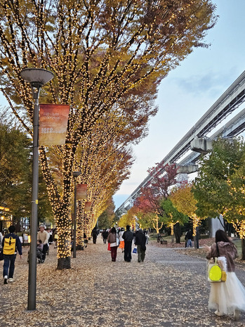 20251122_163232 のコピー