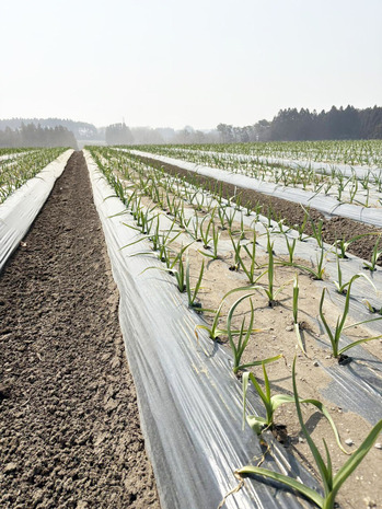 1774916059173 �Υ��ԡ�