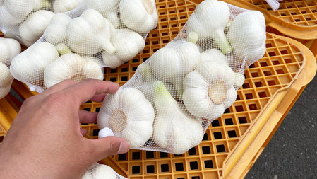 1718755231654 �Υ��ԡ�