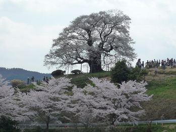 P1030442