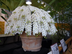 P1040255