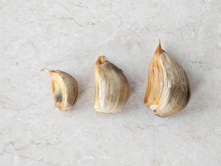 20260214_155511 のコピー