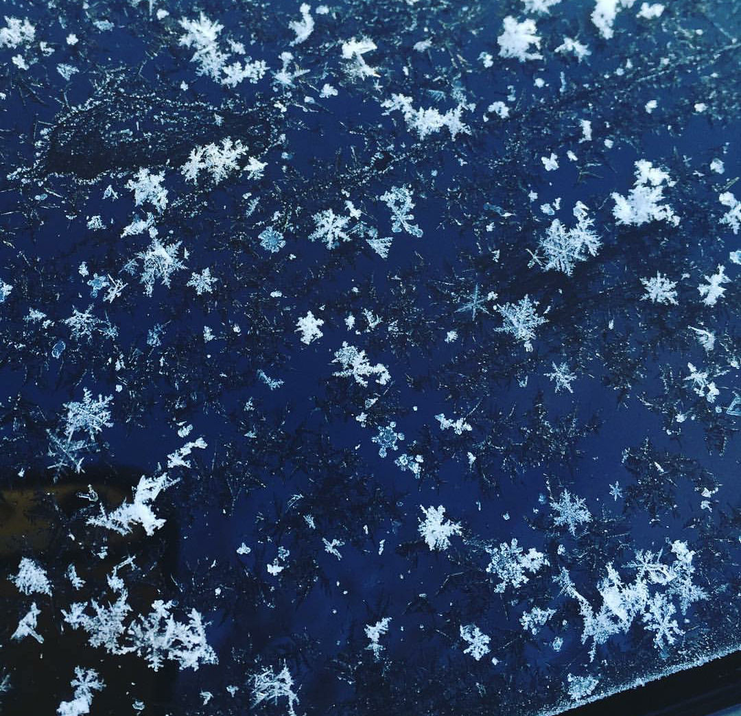 自然共生スタッフブログ 雪の結晶 Livedoor Blog ブログ 自然共生スタッフブログ 雪の結晶 Livedoor Blog ブログ