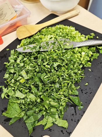 20251115_085206 �Υ��ԡ�