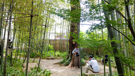 DSC_8380 のコピー