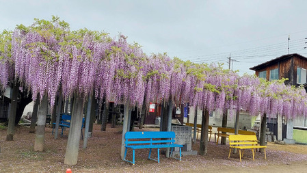 1713854892608 �Υ��ԡ�