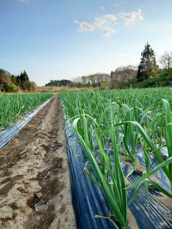 1746692772111 のコピー