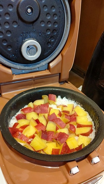 HORIZON_0001_BURST20201022203948744_COVER