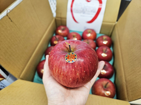 20251223_084949 ¤Î¥³¥Ô¡¼