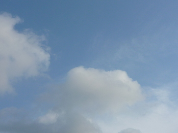 P1010305