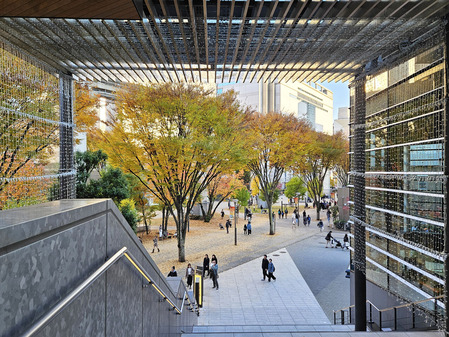 20251122_151959 のコピー