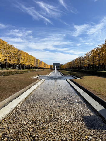 1764074387855 のコピー