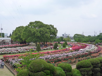 P1040139