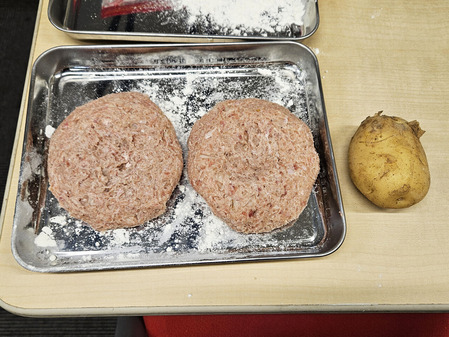 20250524_104951 �Υ��ԡ�