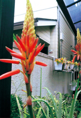 ��ë����02