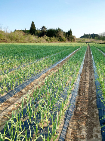 1746692772182 のコピー