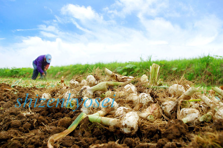 ̾��̤����-1