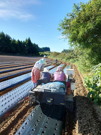 1728950723589 のコピー