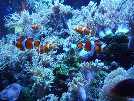 P1090581