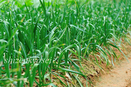 ̾��̤����-1