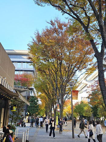 20251122_141734 のコピー