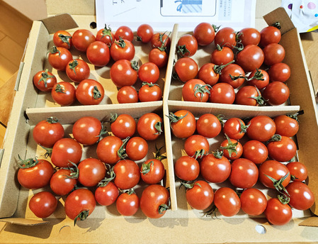 20260303_184020 のコピー