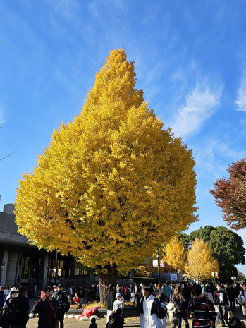 20251124_113314 のコピー