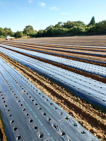 1728950723501 のコピー