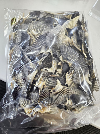 20240125_091801 Υԡ