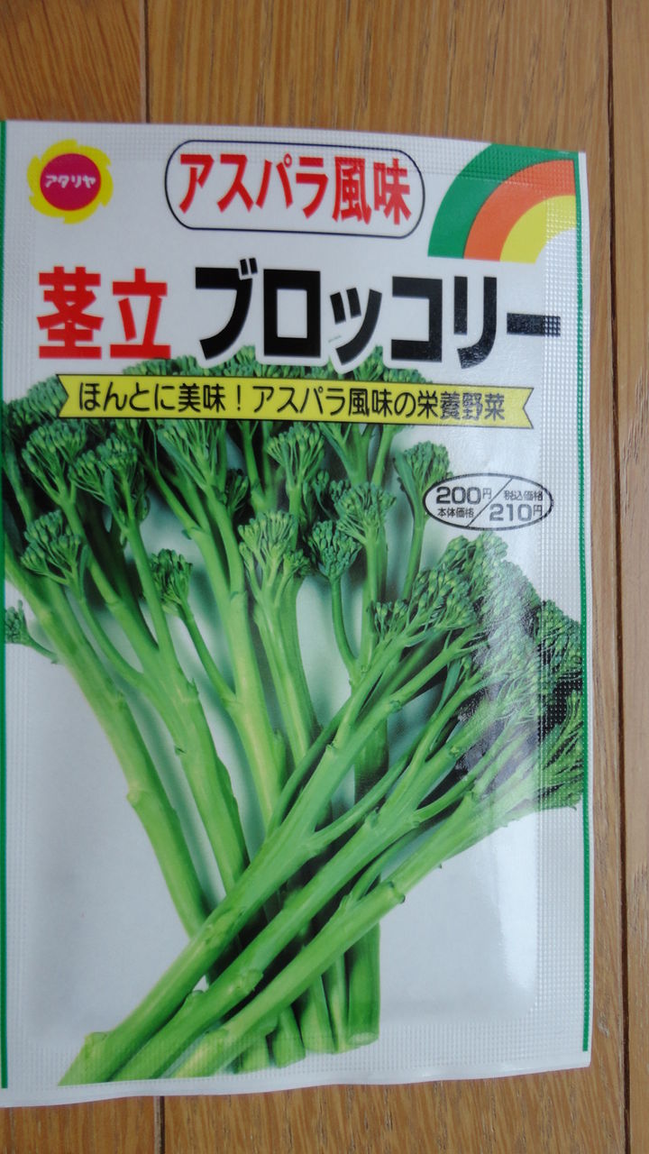 家庭菜園で野菜栽培を実践するブログ スティックセニョール 栽培 家庭菜園で野菜栽培を実践するブログ スティックセニョール 栽培