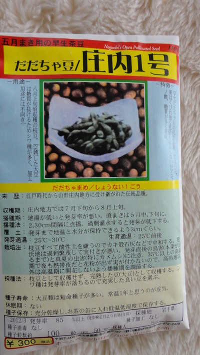 20120430だだ茶マメ