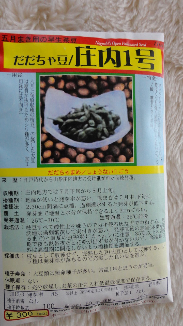 家庭菜園で野菜栽培を実践するブログ エダマメ栽培 だだちゃ豆 庄内１号 種まき 定植