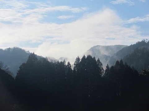 IMG_5993fog