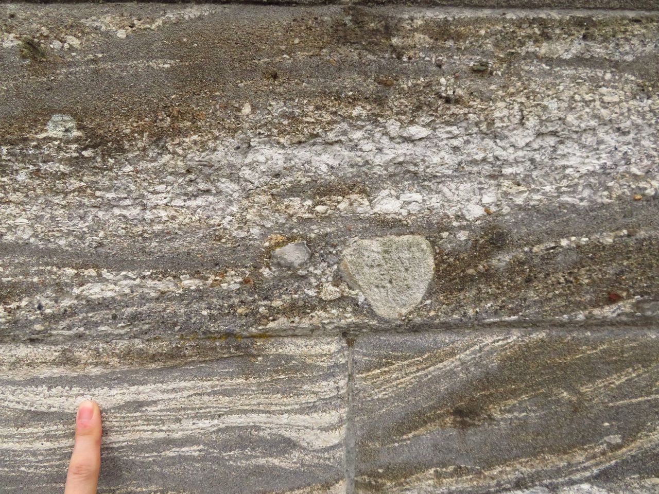 伊豆石の塀 茨城県土浦市 気になる自然と歴史の風景