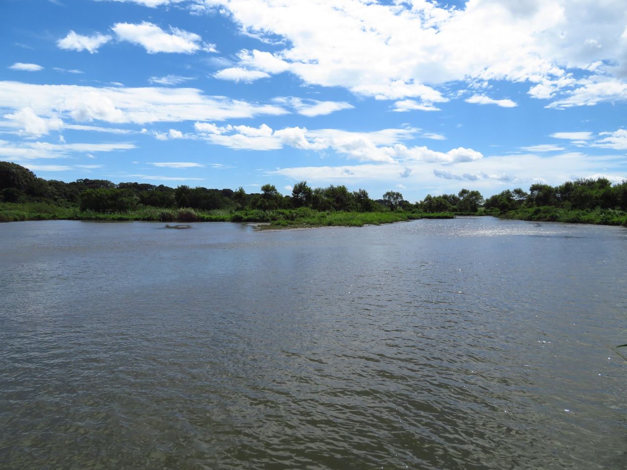 菅生沼 茨城県坂東市 気になる自然と歴史の風景