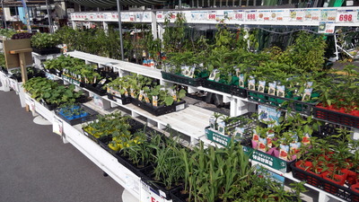 ナフコ2 2012-05-16 15-43-11