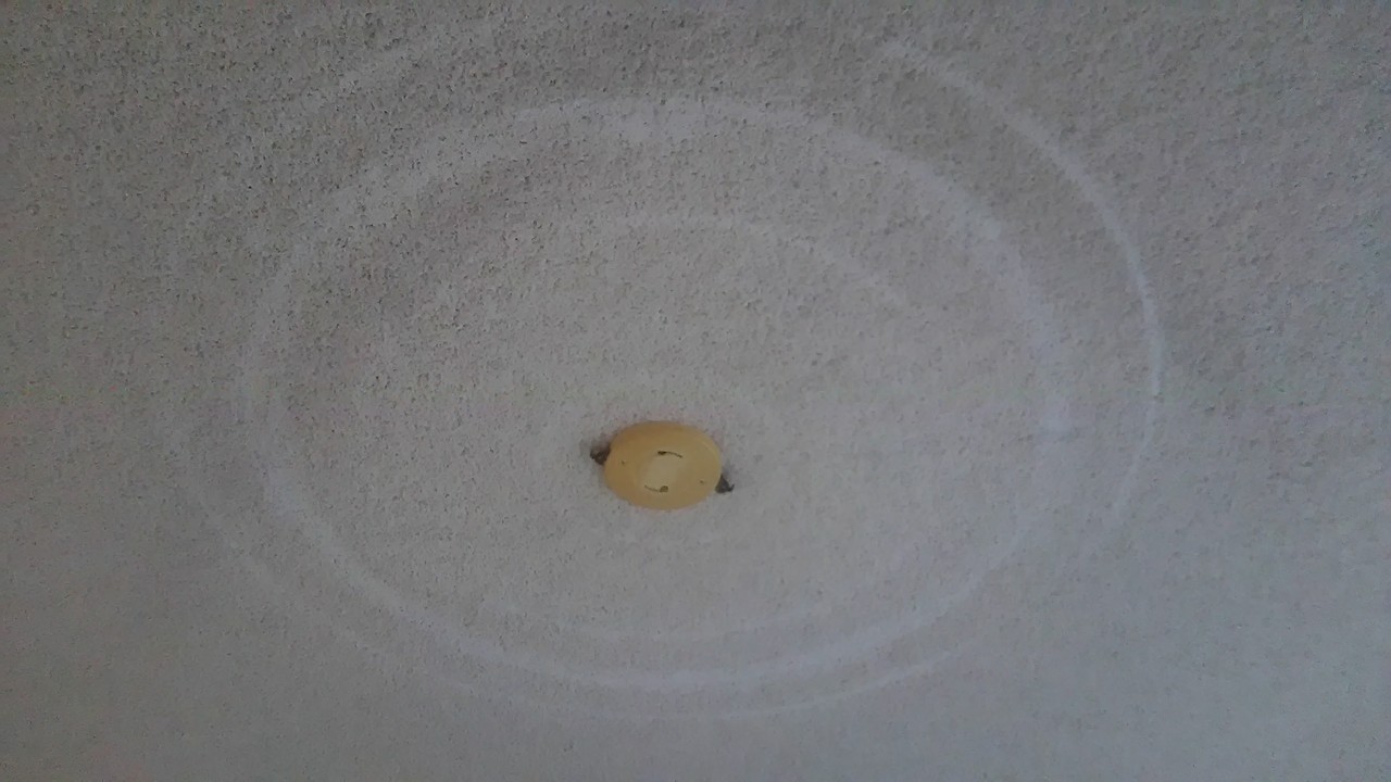 発達障害の静葉ちゃんが お掃除をはじめたようです ﾟ ﾟ 大人の発達障害と向き合う静葉ちゃんの試験室