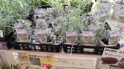 ナフコ5 2012-05-16 15-53-56