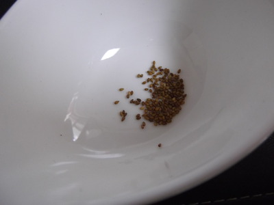 DSCF4121