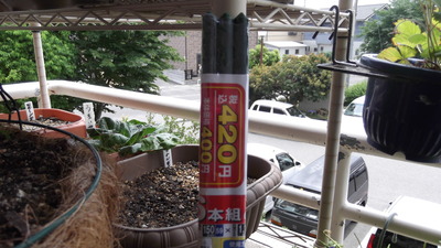 甘っこ２ 2012-05-30 11-59-57