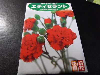DSCF4151