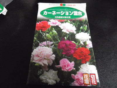 DSCF4136