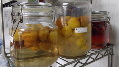 サワードリンク 2012-07-02 8-04-34