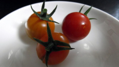 トマト収穫 2012-06-13 8-21-08