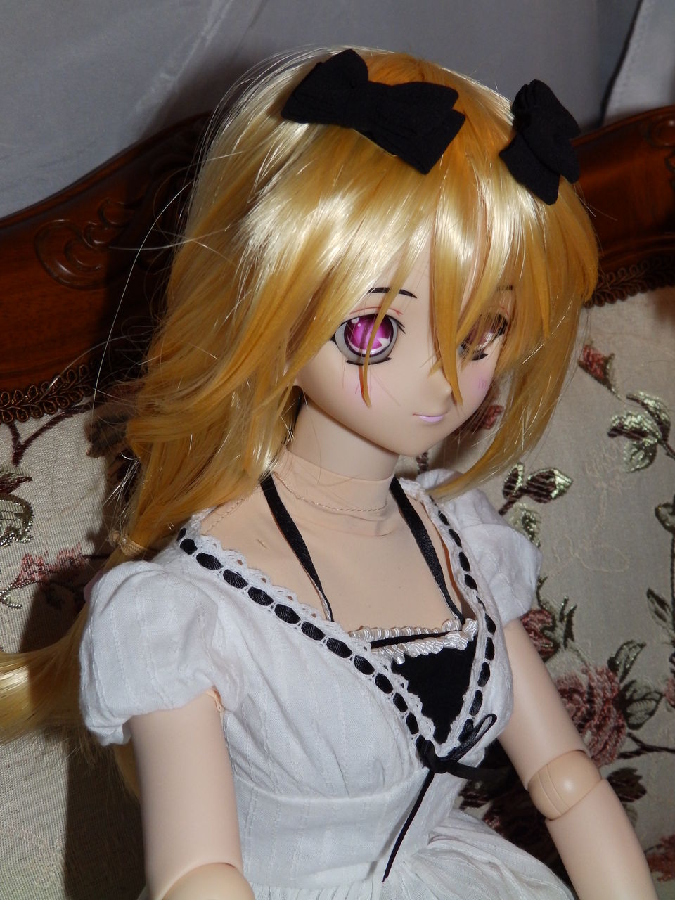 ジョシカイノスヽメ 夢見る夜に