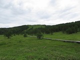 17a