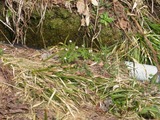 IMG_1216_5-17-2022